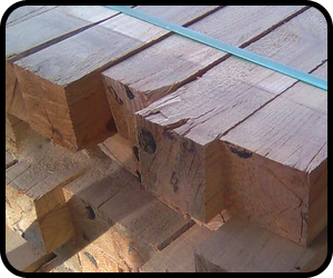 Burdur Ge&ccedil;er Orman &Uuml;r&uuml;nleri