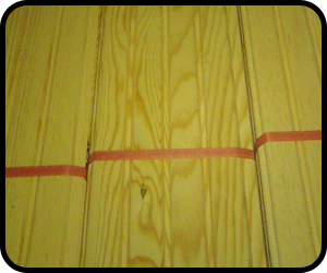 Ge&ccedil;er Orman &Uuml;r&uuml;nleri