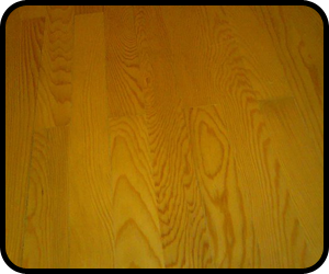 Ge&ccedil;er Orman &Uuml;r&uuml;nleri Burdur